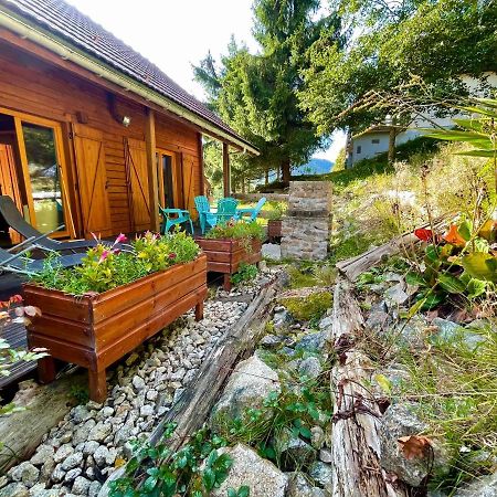 Chalet Des Feignes La Bresse Zewnętrze zdjęcie