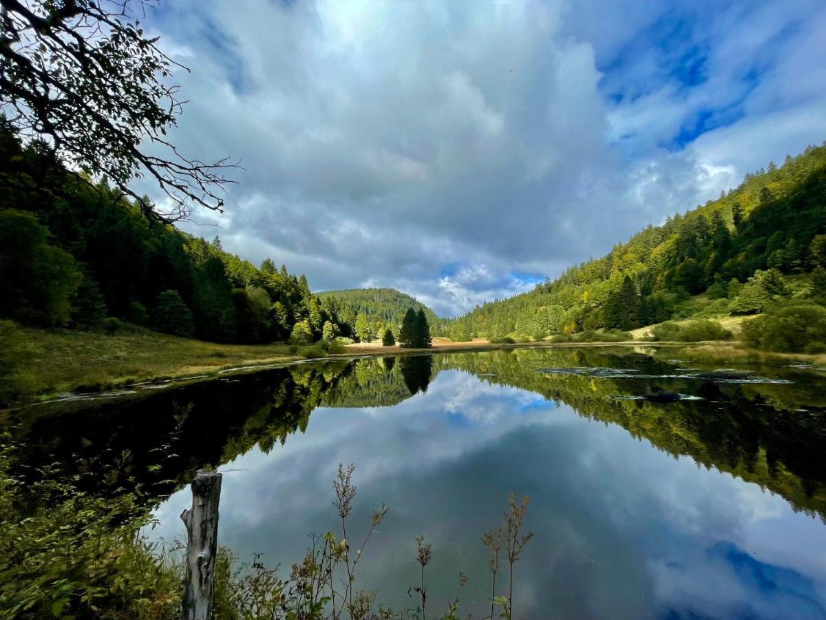 Chalet Des Feignes La Bresse Zewnętrze zdjęcie