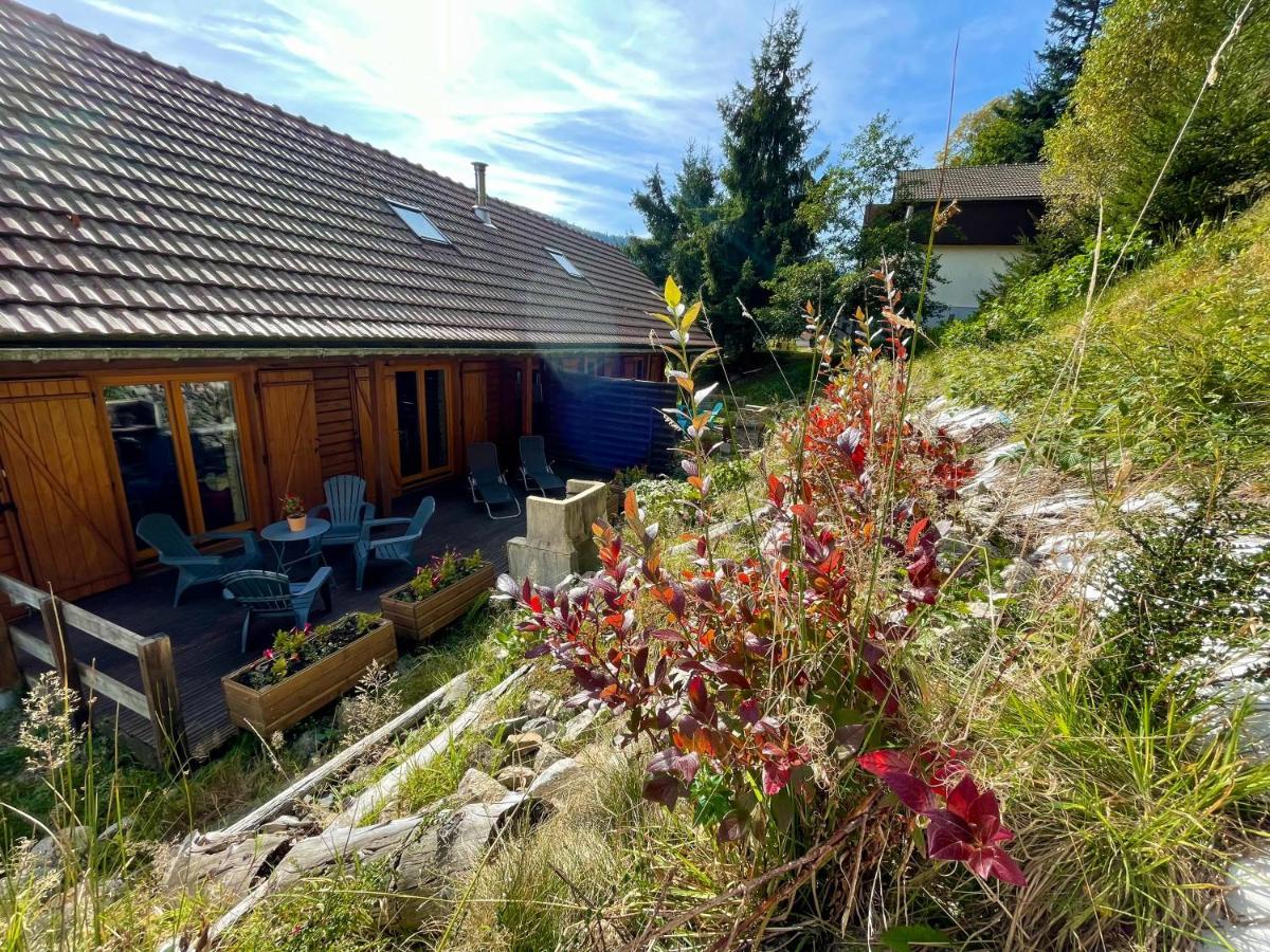 Chalet Des Feignes La Bresse Zewnętrze zdjęcie