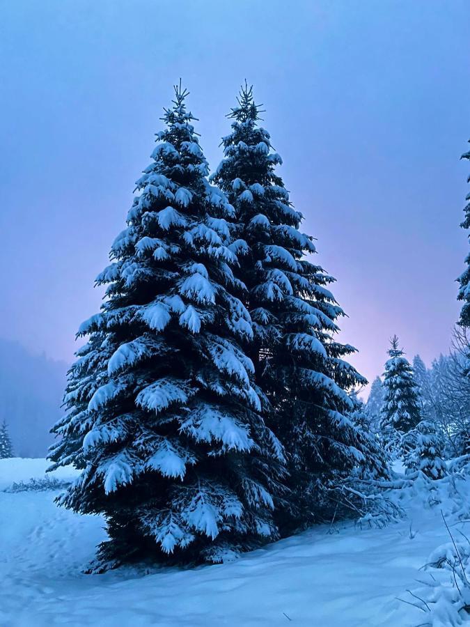 Chalet Des Feignes La Bresse Zewnętrze zdjęcie
