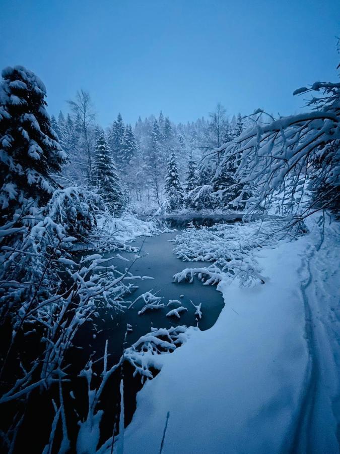 Chalet Des Feignes La Bresse Zewnętrze zdjęcie