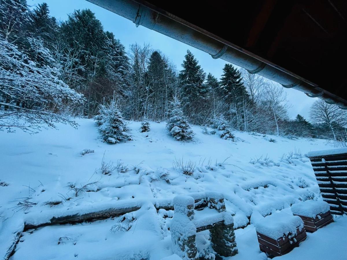 Chalet Des Feignes La Bresse Zewnętrze zdjęcie