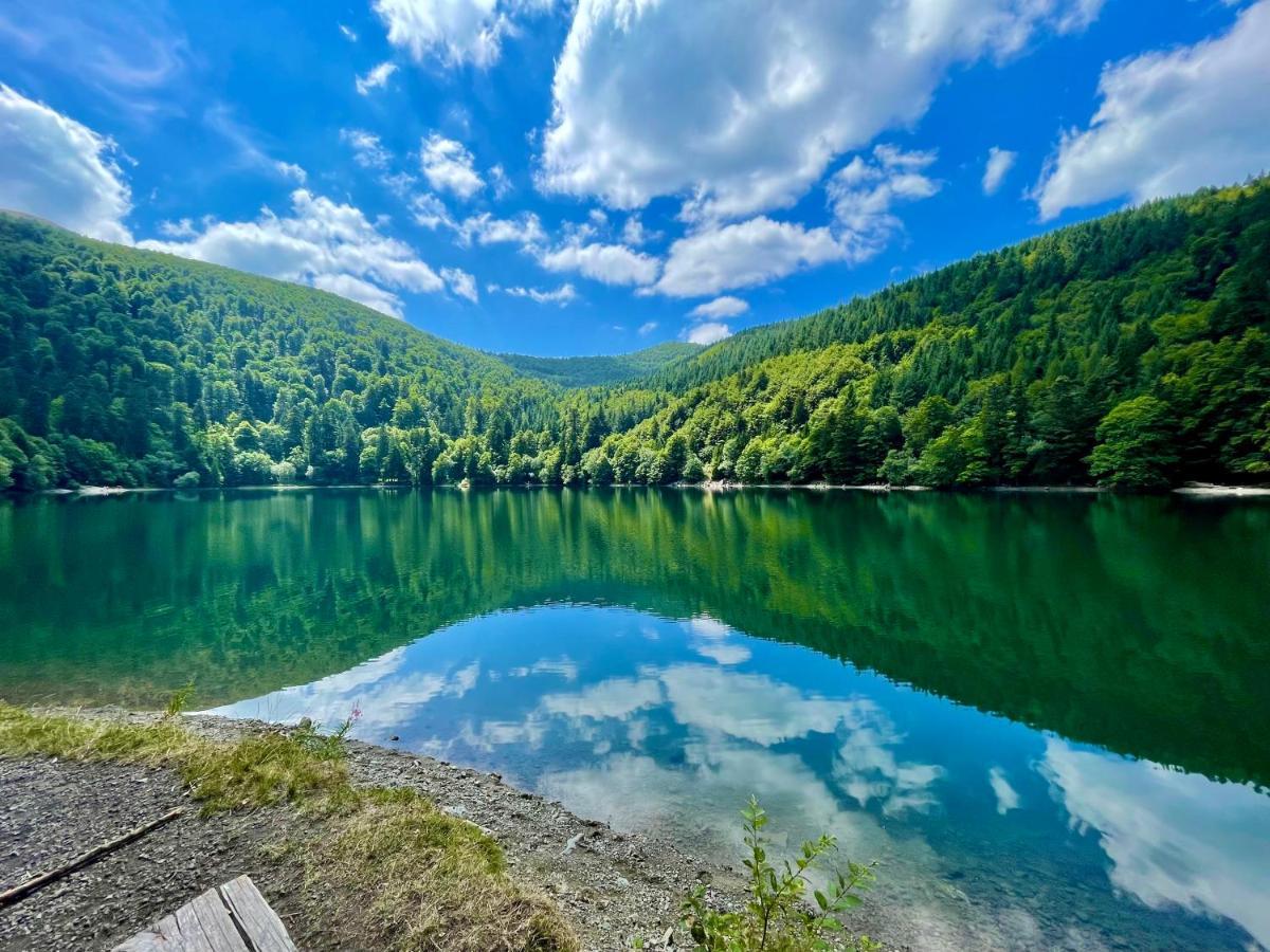 Chalet Des Feignes La Bresse Zewnętrze zdjęcie